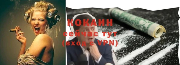 2c-b Ельня