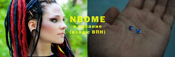 2c-b Ельня