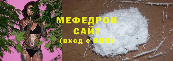 2c-b Ельня