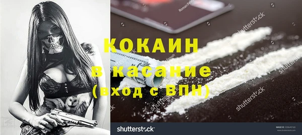 2c-b Ельня