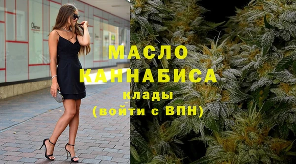 2c-b Ельня