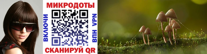 Псилоцибиновые грибы GOLDEN TEACHER  Зерноград 